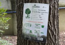 Quanto vale un albero? A Varese arrivano i “TreeTag” europei