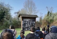 “CENERE”: al Parco delle Groane la camminata in cuffia sui luoghi dell’esplosione raccontata da Hemingway