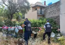 Pregnana Milanese, via alla convenzione con il Corpo Ambientale Nazionale